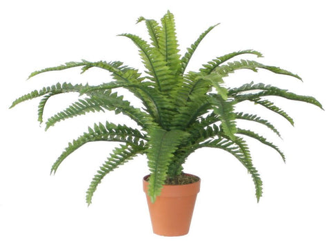 18.5" Potted Artificial Green Boston Fern Plant Spring Decoration