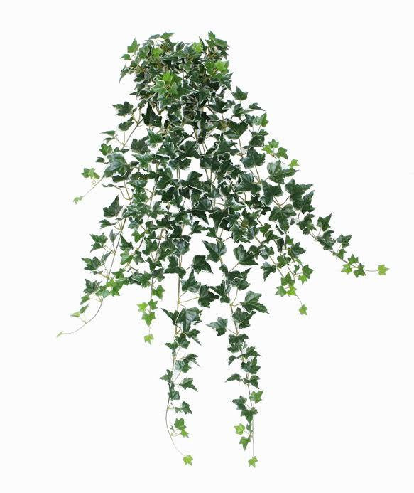 31.50" Decorative Green and White Ivy Spring Floral Hanging Bush