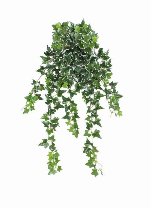 23.75" Decorative Green and White Ivy Spring Floral Hanging Bush