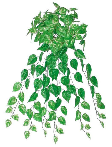 34.75" Decorative Artificial Green and White Pothos Plant Spring Floral Bush