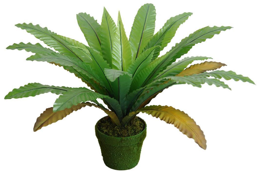 22" Decorative Potted Artificial Green and Brown Bird Nest Fern Plant