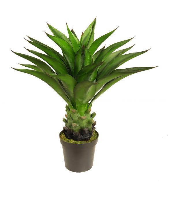 30.5" Decorative Potted Artificial Green Agave Americana Succulent Plant