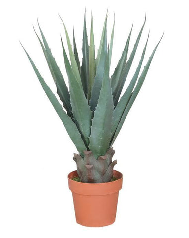 31.5" Decorative Potted Artificial Green Agave Americana Succulent Plant