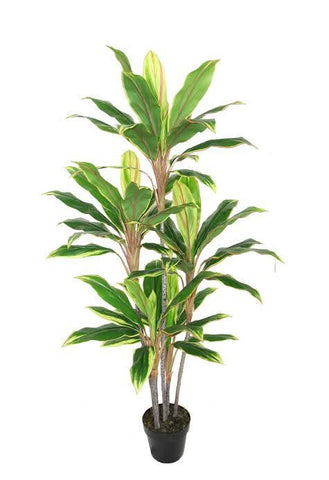 55.25" Decorative Potted Artificial Two Tone Green and Red Dracaena Plant