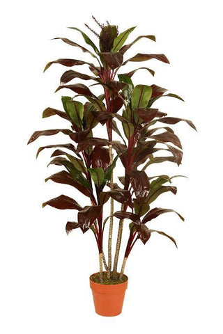 59.75" Decorative Potted Artificial Brown Red and Green Dracaena Plant