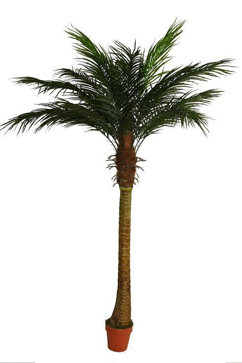 6' Decorative Potted Artificial Brown and Green Phoenix Palm Tree