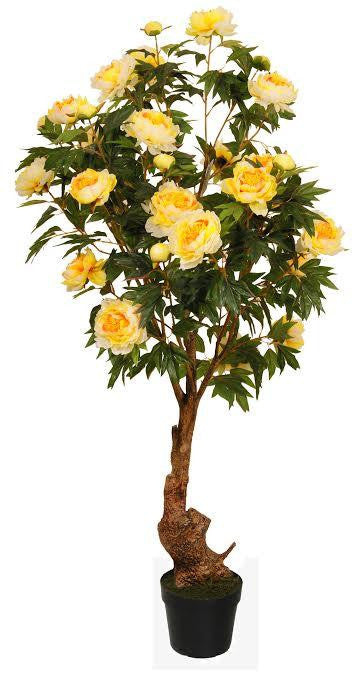 5.5' Decorative Potted Artificial Yellow Peony Flower Tree in a Black Pot