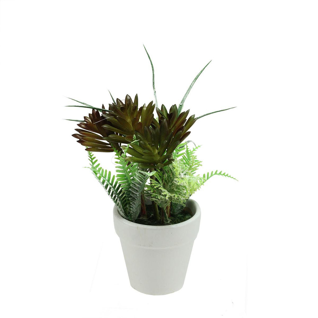 7.5" Artificial Green and Red Succulent and Fern Spring Decoration in a Round White Pot