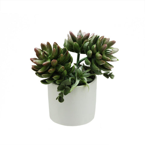 7.75" Artificial Mixed Green and Red Succulent Plants in a Decorative White Pot