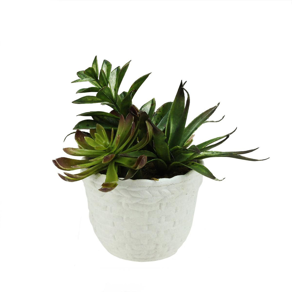 8.5" Decorative Artificial Mixed Succulent Plant Arrangement in a White Basket Weave Pot