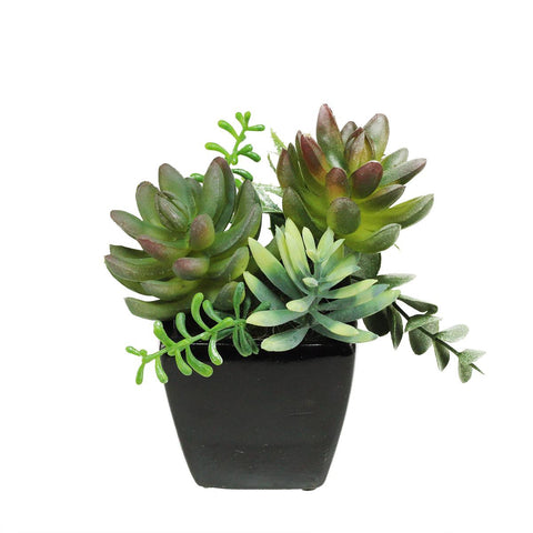 6" Decorative Artificial Mixed Succulent Plant Arrangement in a Square Black Pot