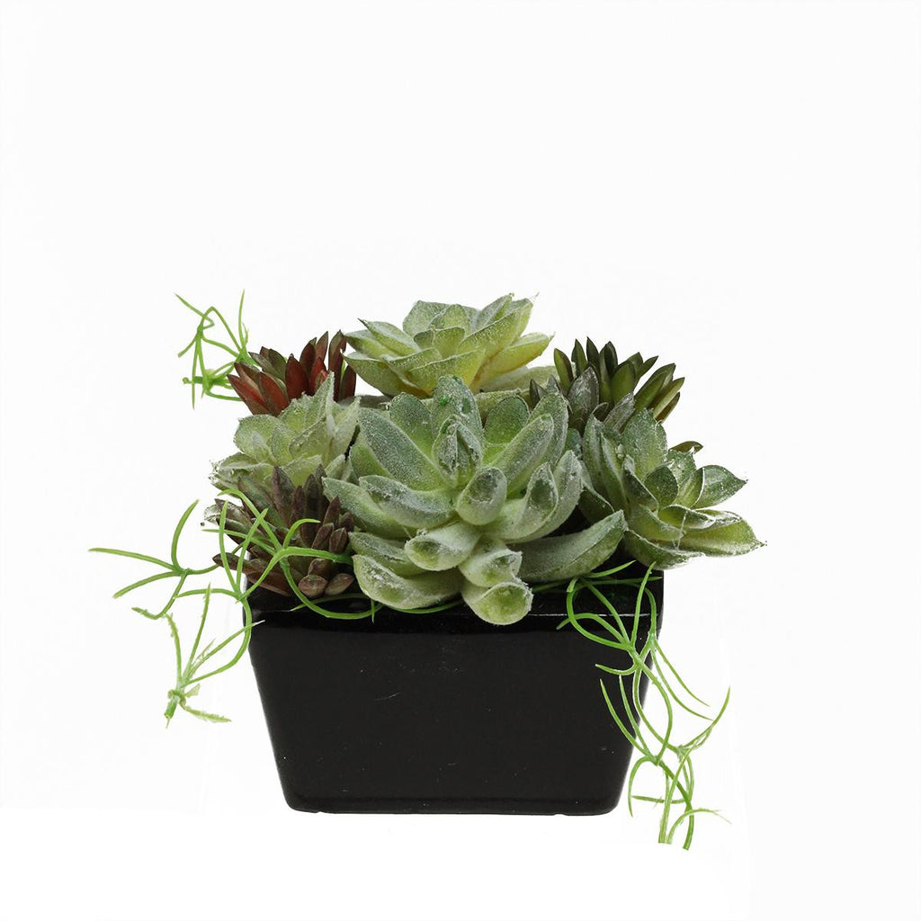 8.75" Decorative Artificial Mixed Succulent Arrangement in a Square Black Pot