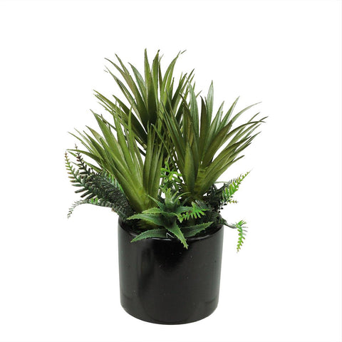 9.75" Artificial Mixed Green Succulent Plants and Ferns in a Decorative Black Pot