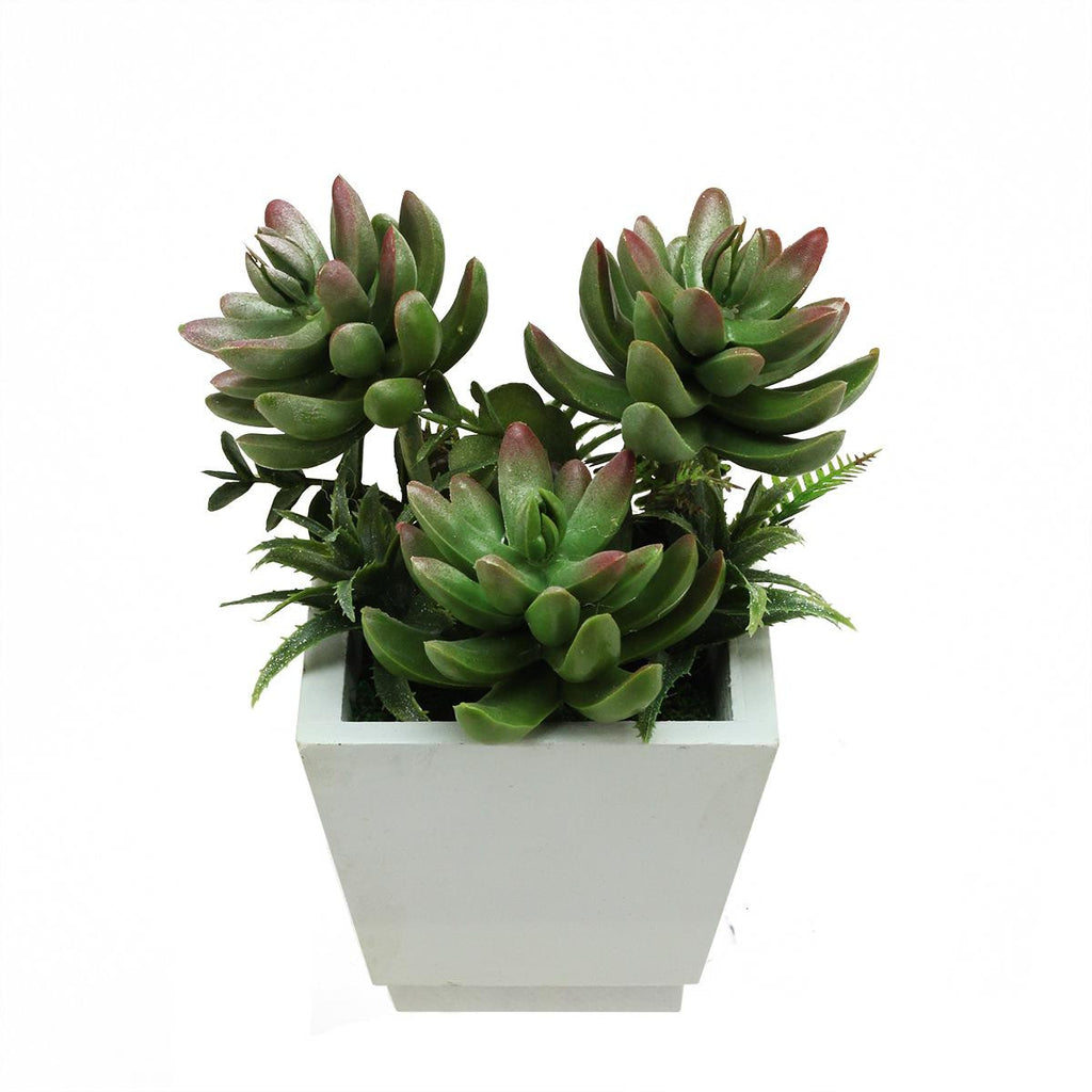 7.5" Artificial Mixed Green and Red Succulent Plants and Ferns in a Decorative Wooden Square Pot