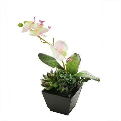 13" Artificial White, Pink and Green Orchid with Succulent Plants in a Decorative Square Black Pot