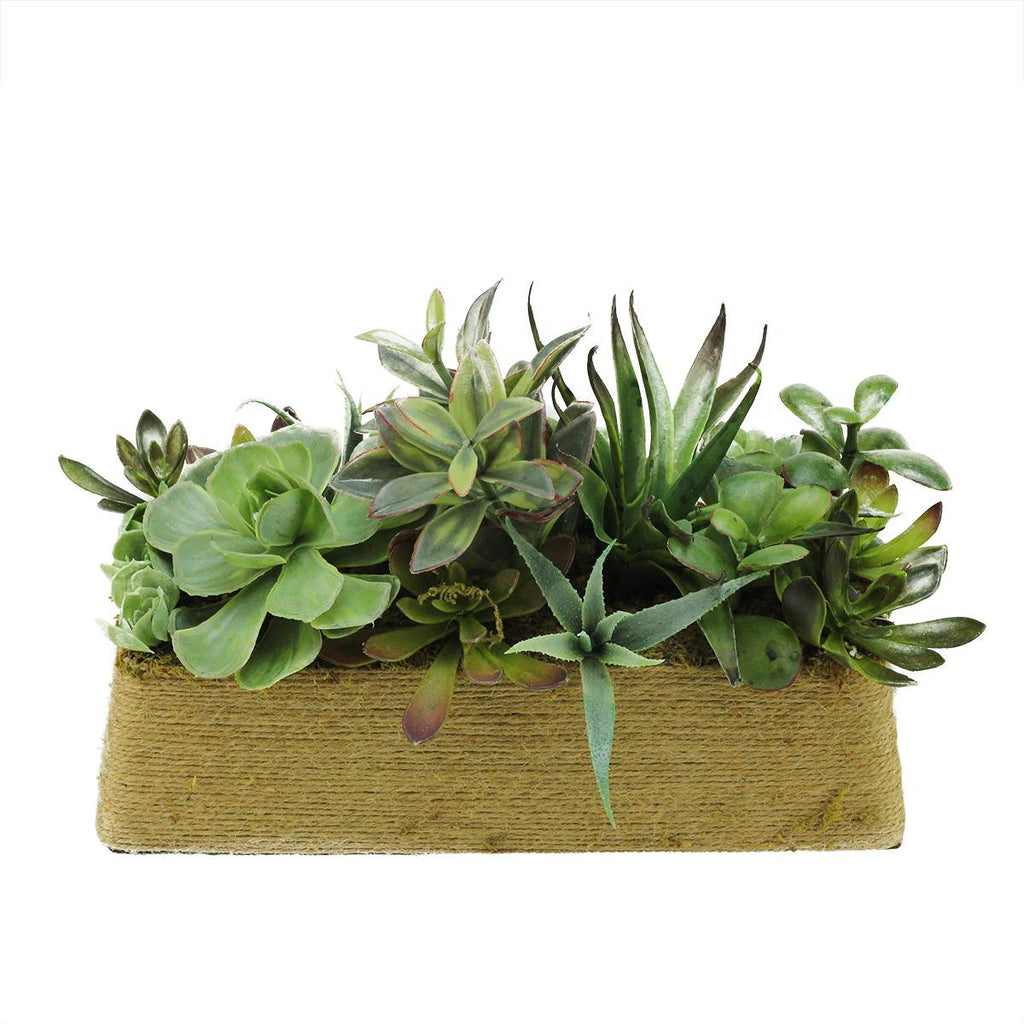 12.5" Artificial Mixed Green and Red Succulent Plants in a Decorative Brown Rectangular Twine Pot