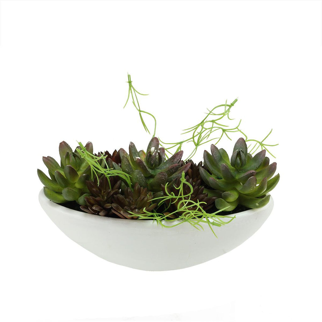 8.5" Artificial Mixed Green and Red Succulent Plants in a Decorative White Oval Pot