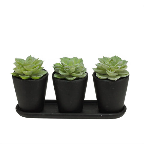 9" Artificial Echeveria Succulent Plants in Decorative Black Pots Table Top Centerpiece