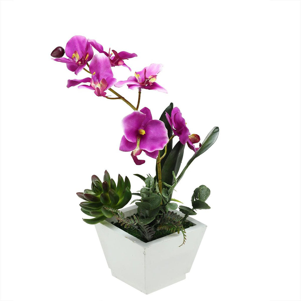 12" Artificial Pink Orchid with Red and Green Succulent Plants in a Decorative Square White Pot