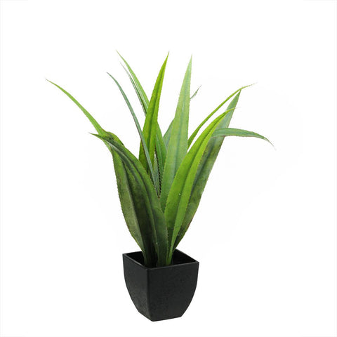 21.5" Artificial Green Agave Succulent Plant in a Decorative Black Pot