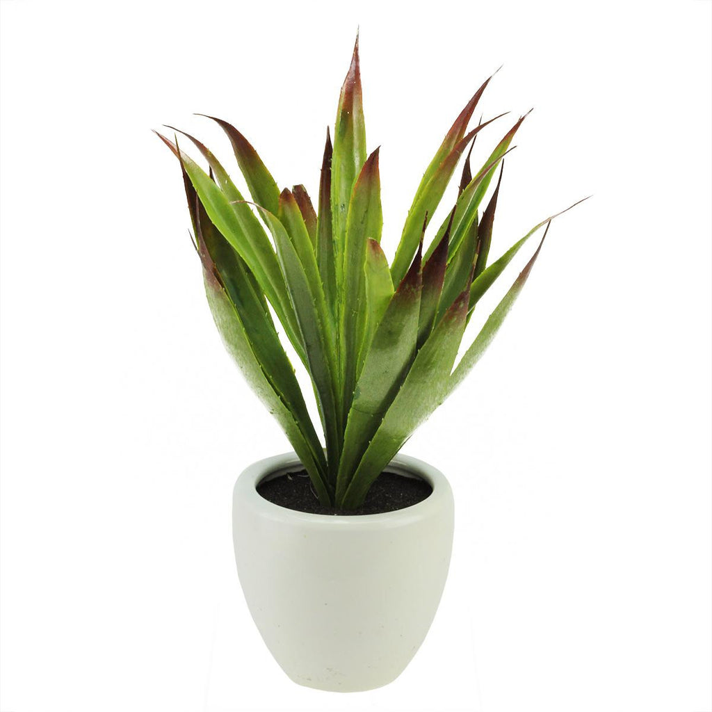 13.5" Artificial Green and Red Agave Succulent Plant in a Decorative White Pot