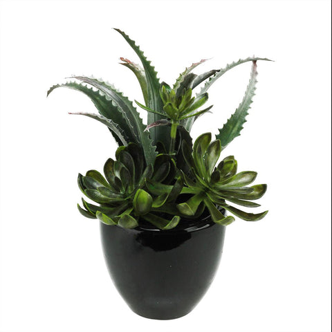 11" Artificial Mixed Green and Red Succulent Plants in a Decorative Shiny Black Pot