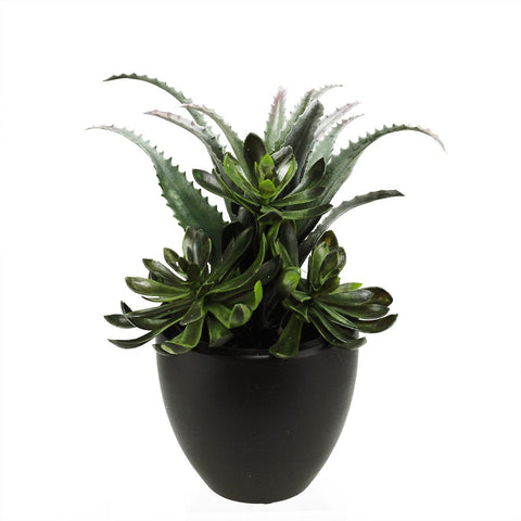 11" Artificial Mixed Green and Red Succulent Plants in a Decorative Matte Black Pot