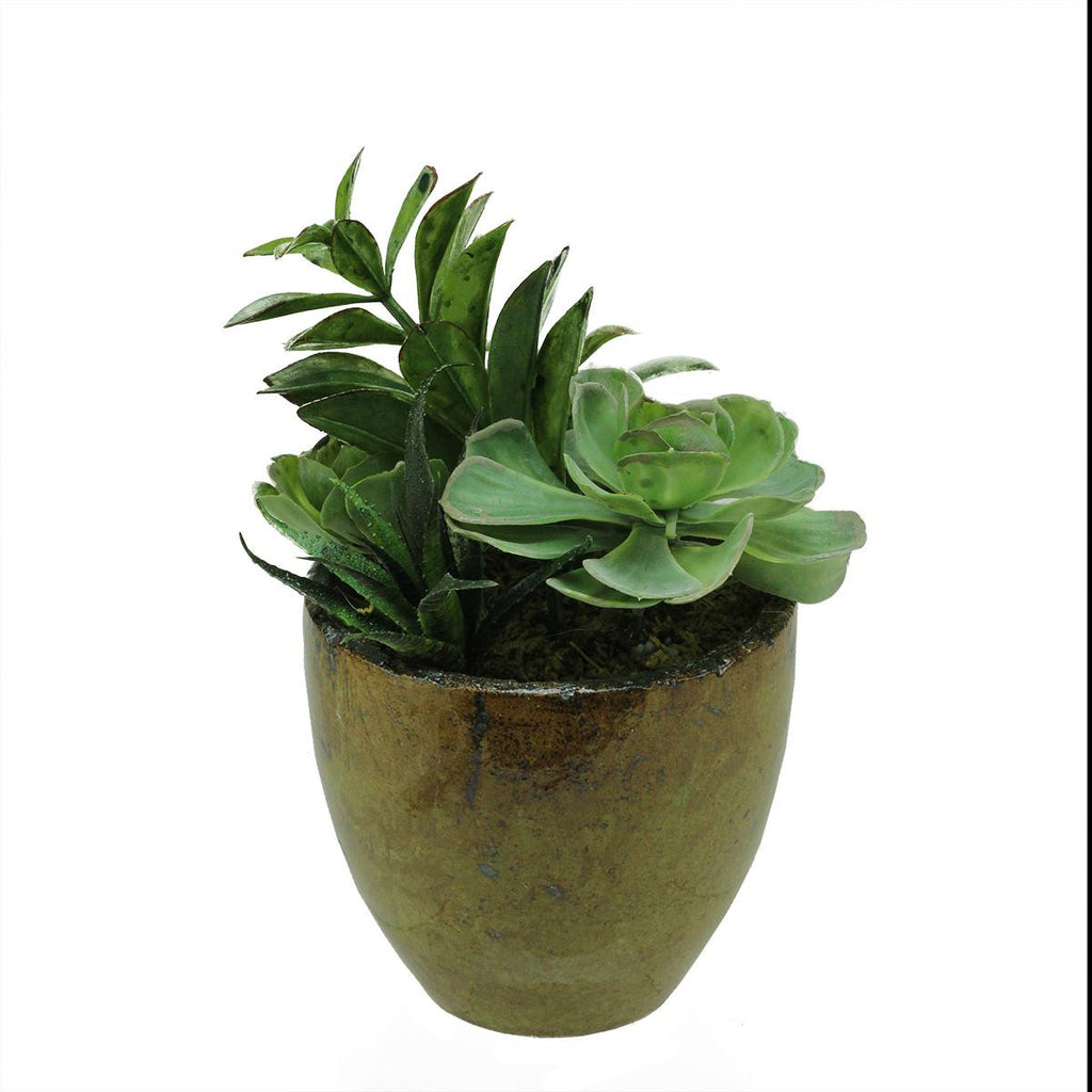 8.5" Artificial Mixed Green and Red Succulent Plants in a Decorative Brown and Black Pot