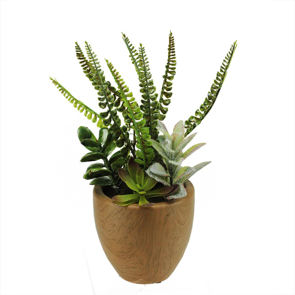 12" Artificial Mixed Succulents and Fern Plants in a Decorative Faux Wood Pot