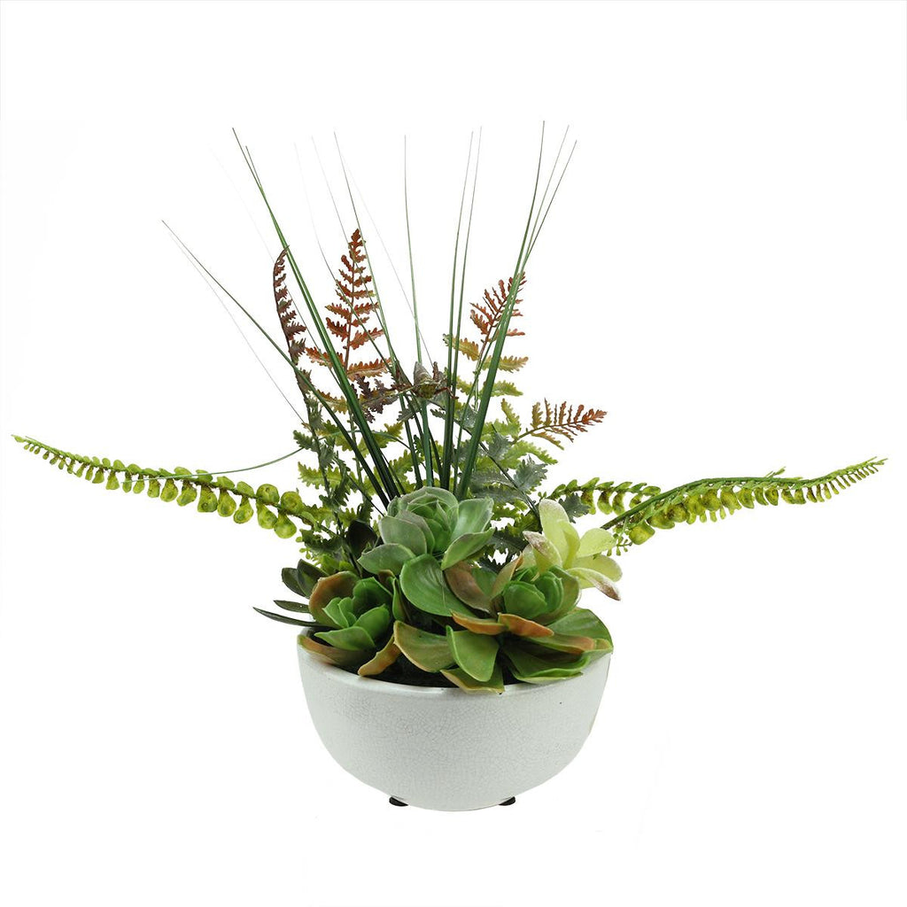 11.5" Artificial Mixed Red and Green Succulent and Fern Plants in a White Crackle Finish Bowl Pot