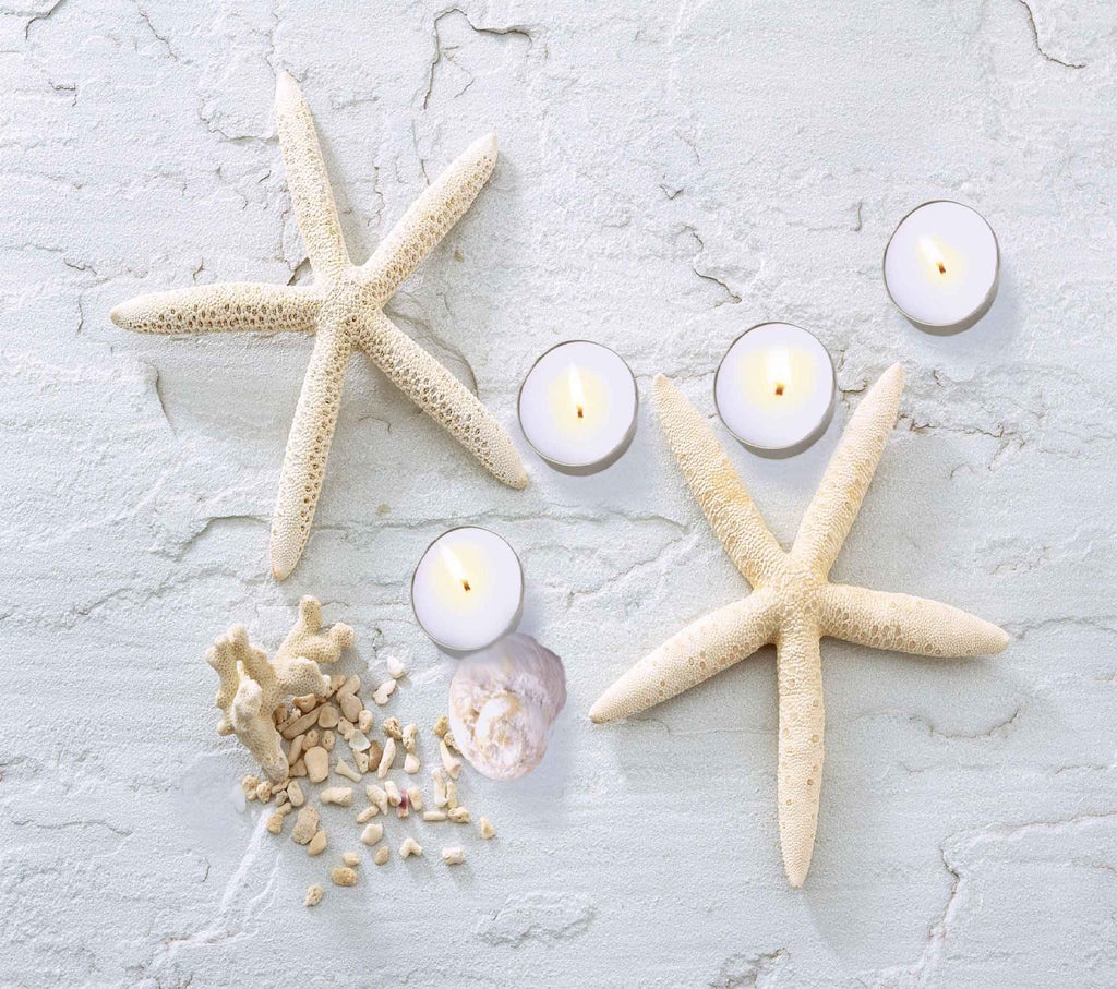 LED Lighted Starfish, Seashell and Tea Light Candles Canvas Wall Art 11.75" x 15.75"