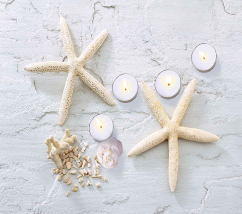 LED Lighted Starfish, Seashell and Tea Light Candles Canvas Wall Art 11.75" x 15.75"