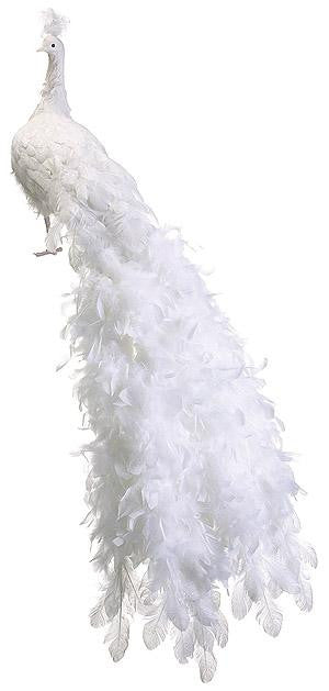 60" Life-Size Regal Peacock White Glitter Bird Closed Tail Feathers Christmas Decoration